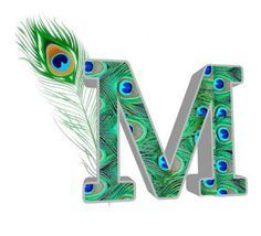 the letter m is decorated with peacock feathers