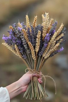 a person holding a bundle of dried lavenders with twine in their hand, outdoors