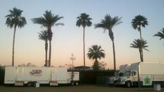 three trucks parked next to each other in front of palm trees at sunset or dawn