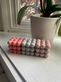 small candles are lined up on a window sill next to a potted plant