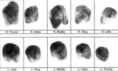 different fingerprints are shown in black and white, with the names below them