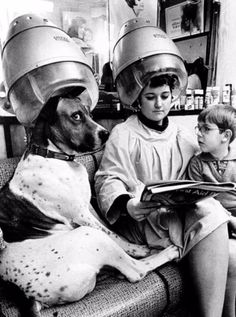 a boy sitting on a couch with two dogs wearing helmets and reading a book to each other