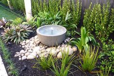 a water fountain surrounded by plants and rocks in a garden area with grass, shrubs, and stones