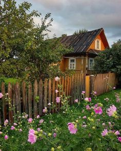 pink flowers are blooming in front of a wooden fence and small house on the other side