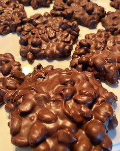 there are many chocolate cookies on the table together and they look like animals or bears