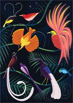 an image of birds and flowers on a dark background