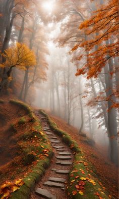 a path in the middle of a forest with leaves on it and foggy skies above