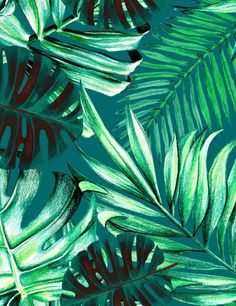 green and red tropical leaves on a blue background with watercolor effect in the middle