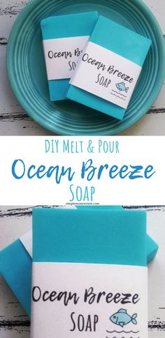 the ocean breeze soap is made from recycled materials and sits on a plate next to an empty