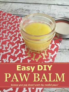 an easy diy paw balm recipe for dogs