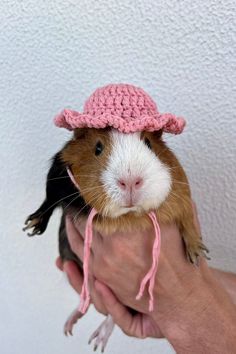 a small brown and white guinea pig wearing a pink crochet hat on top of it's head