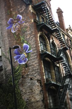 an old building with flowers painted on it's side and fire escapes in the background