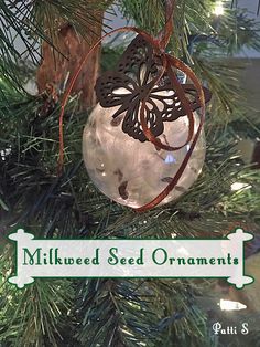 an ornament hanging from a christmas tree with the words milkweed seed ornaments