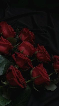 Red And Black Flowers Aesthetic, Red Rose Flower Aesthetic Wallpaper, Dark Rose Aesthetic Wallpaper, Red Flowers Aesthetic Wallpaper, Dark Red Roses Wallpaper, Dark Red Roses Aesthetic, Dark Rose Aesthetic, Dark Red Wallpaper Aesthetic, Dark Roses