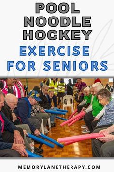 an elderly man and woman sitting in chairs with the words pool noodle hockey exercise for seniors