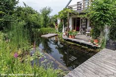 the house is surrounded by greenery and water