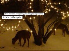 two horses grazing in the snow with lights strung all around them and an ad that reads let's pretend everything we imagine is possible