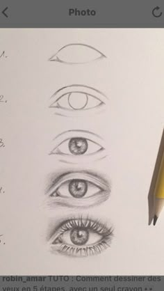 a pencil drawing of different types of eyes