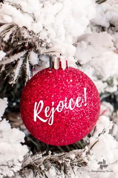 a red ornament hanging from a tree with snow on it's branches