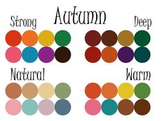 Soft Autumn Deep, Deep Winter Colors, Autumn Color Palette, Autumn Palette