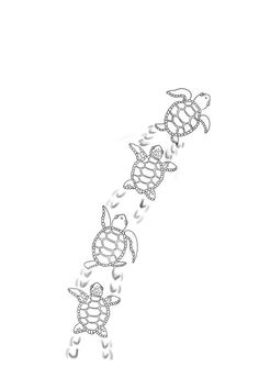 a line drawing of three sea turtles with their heads in the air and facing opposite directions