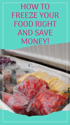 #HowToFreezeFood #FoodFreezingTimeline #FreezingTips #FoodPreservation #FreezeFoodProperly #FoodStorageGuide #FreezerDosAndDonts #ExtendedFoodFreshness #FreezingTechniques #PreservingFlavorAndQuality Food Freezing, Freeze Food, The Leftovers, Healthy Aging