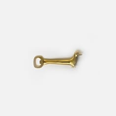 a brass plated metal dog bone with a hook on it's end, against a white background