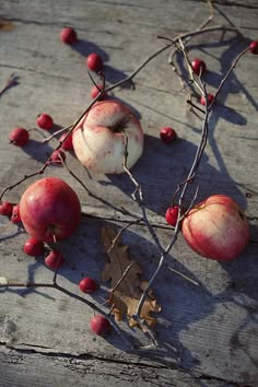 some apples are sitting on the ground next to branches with berries growing out of them