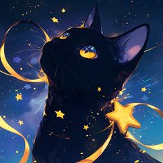 a black cat with stars around it's neck