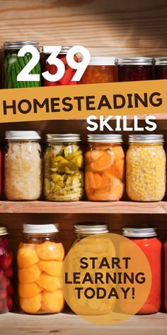 Three wooden shelves with different sizes of home-canned goods in many different colors Homestead Skills, Skills List, Self Sufficient Homestead, Self Sufficiency, Homemade Pantry, Homesteading Diy, Canning Tips