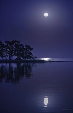 the full moon is shining in the night sky over water with trees on either side