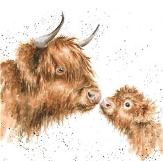 a watercolor painting of a cow and its calf's face close to each other