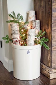 a christmas tree in a white bucket with lights on the top and some branches wrapped around it