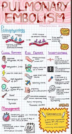 a hand drawn diagram with words and symbols in different languages on lined paper, including the word hello kitty