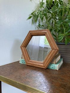 a mirror sitting on top of a wooden table next to a potted green plant