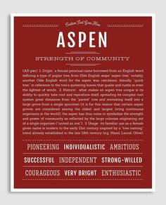 an aspenn poster with the words, strength of community in red and white