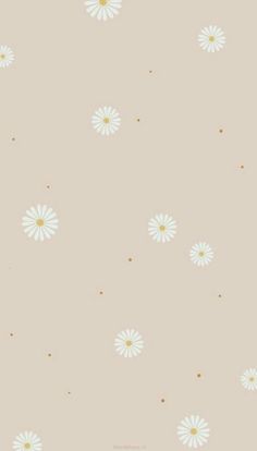 white daisies on a beige background with gold dots