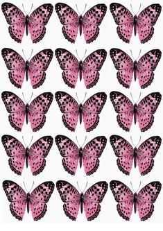 many pink butterflies with black spots on them