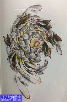 Skull Artwork Illustrations, Asian Flowers, Special Tattoos, Traditional Japanese Tattoos, Asian Tattoos