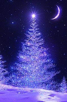 a christmas tree is lit up in the night sky with moon and stars above it