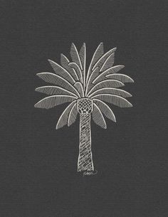 a drawing of a palm tree on a black background with white lines in the middle