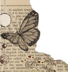 an altered photograph of a butterfly on top of a piece of paper with words below it