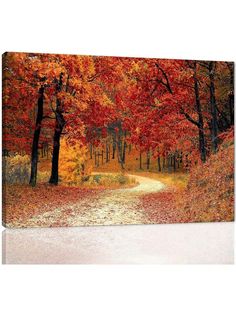 an autumn scene with red leaves on the trees and a dirt road in the foreground