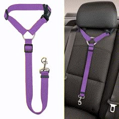 the seat belt is attached to the back of a car with two hooks on each side