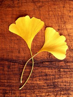 a single yellow leaf on top of a wooden table