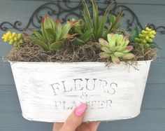 a hand holding a planter with succulents in it and the words fleuros de plat