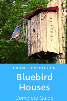 a bird house with the words bluebird houses complete guide