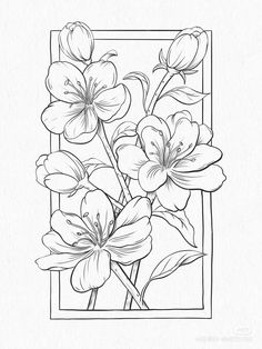 a drawing of flowers in a square frame