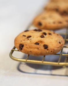 chocolate chip cookies cooling on a wire rack