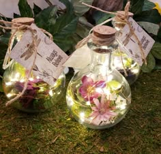 three glass jars filled with flowers sitting on top of a grass covered ground next to plants